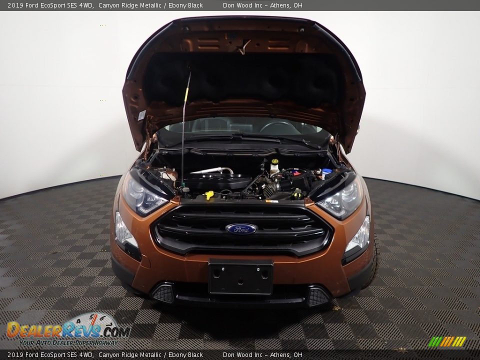 2019 Ford EcoSport SES 4WD Canyon Ridge Metallic / Ebony Black Photo #9