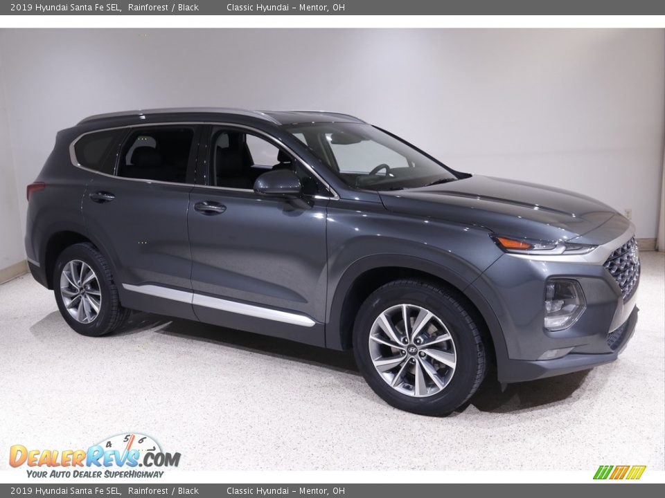2019 Hyundai Santa Fe SEL Rainforest / Black Photo #1