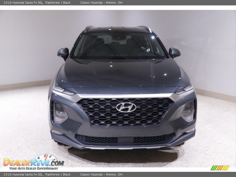 2019 Hyundai Santa Fe SEL Rainforest / Black Photo #2