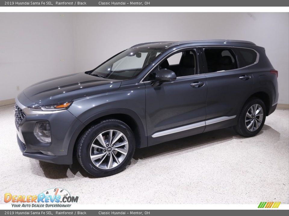 2019 Hyundai Santa Fe SEL Rainforest / Black Photo #3