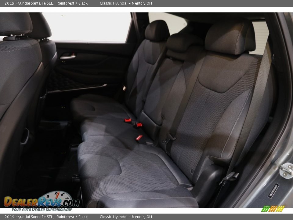 2019 Hyundai Santa Fe SEL Rainforest / Black Photo #16