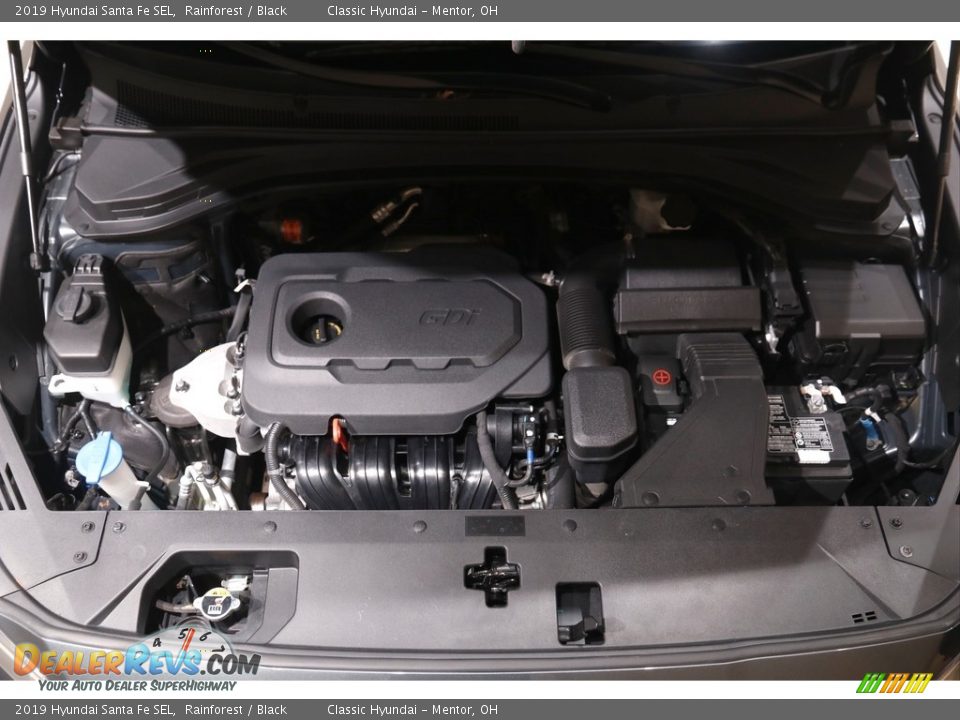 2019 Hyundai Santa Fe SEL Rainforest / Black Photo #18