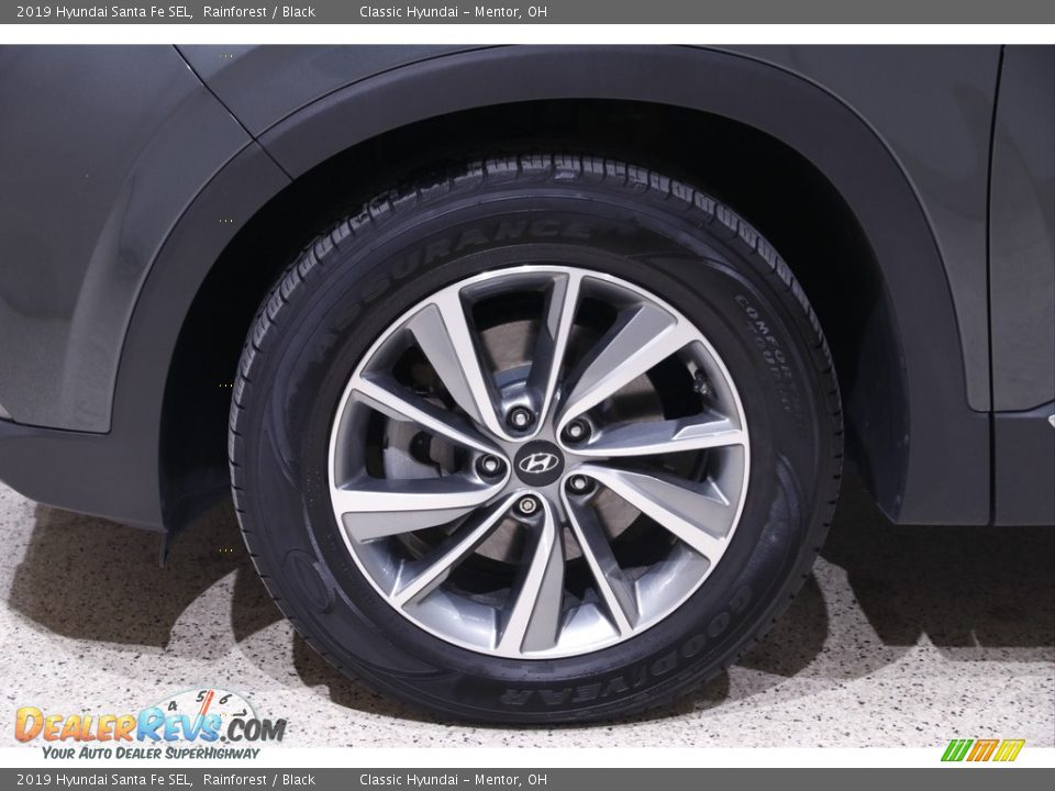 2019 Hyundai Santa Fe SEL Rainforest / Black Photo #19