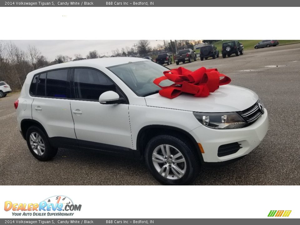 2014 Volkswagen Tiguan S Candy White / Black Photo #1