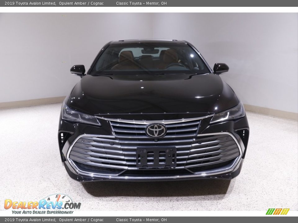 2019 Toyota Avalon Limited Opulent Amber / Cognac Photo #2