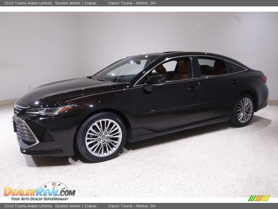 2019 Toyota Avalon Limited Opulent Amber / Cognac Photo #3