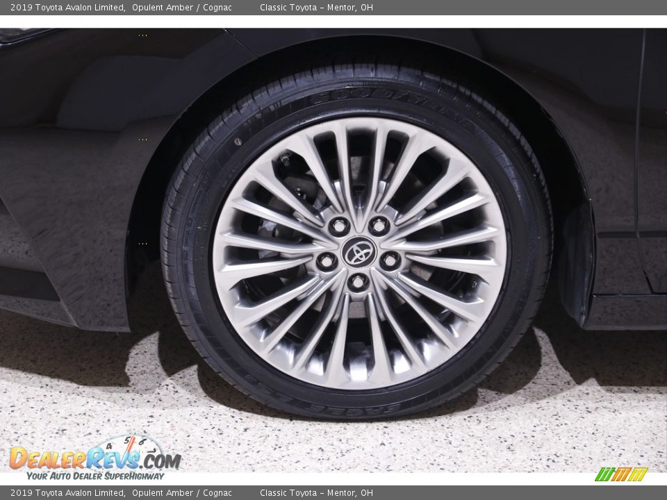 2019 Toyota Avalon Limited Opulent Amber / Cognac Photo #20