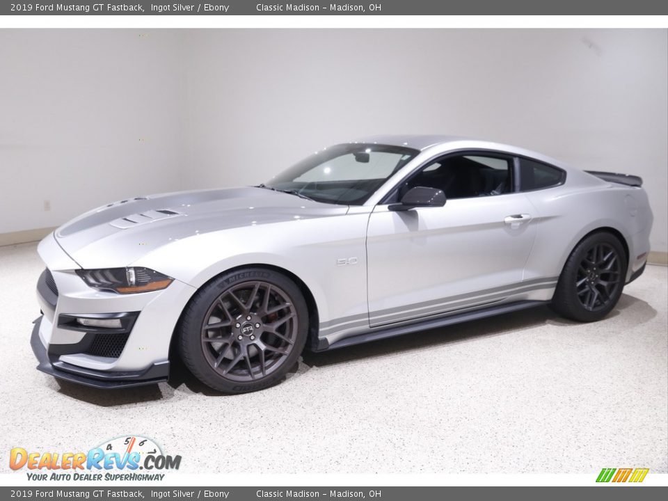 2019 Ford Mustang GT Fastback Ingot Silver / Ebony Photo #3
