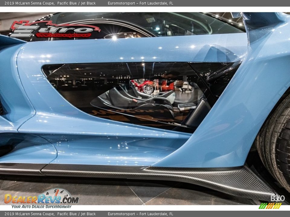 Door Panel of 2019 McLaren Senna Coupe Photo #23