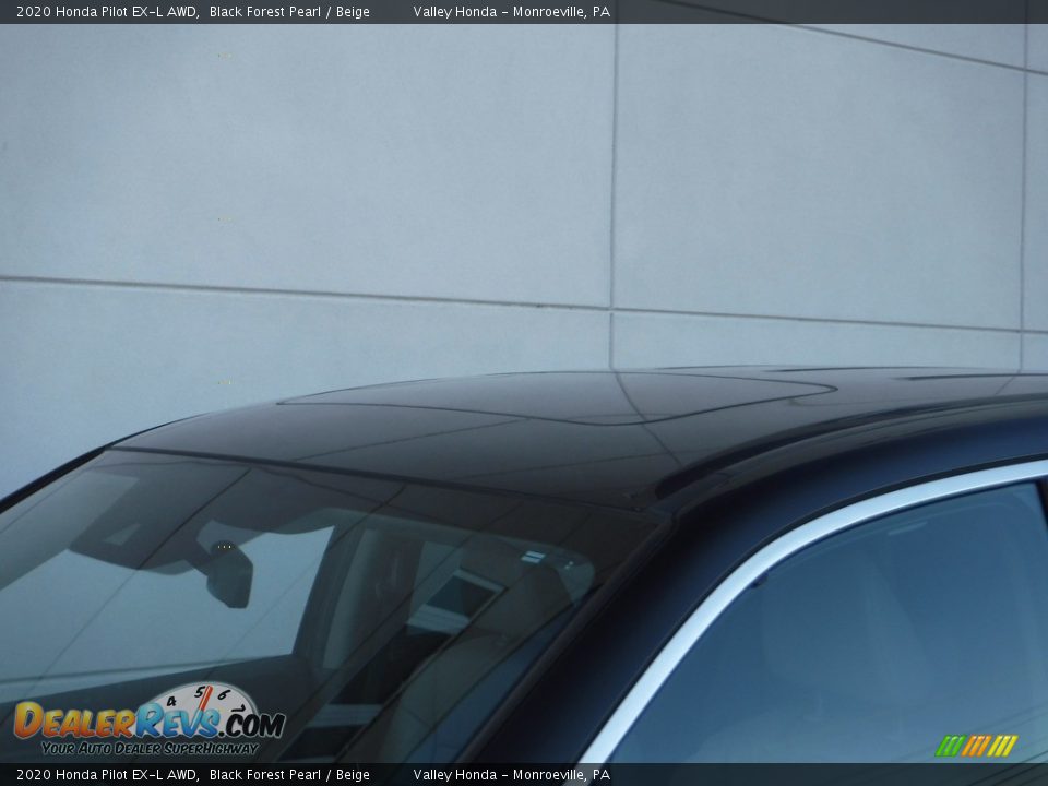 2020 Honda Pilot EX-L AWD Black Forest Pearl / Beige Photo #3