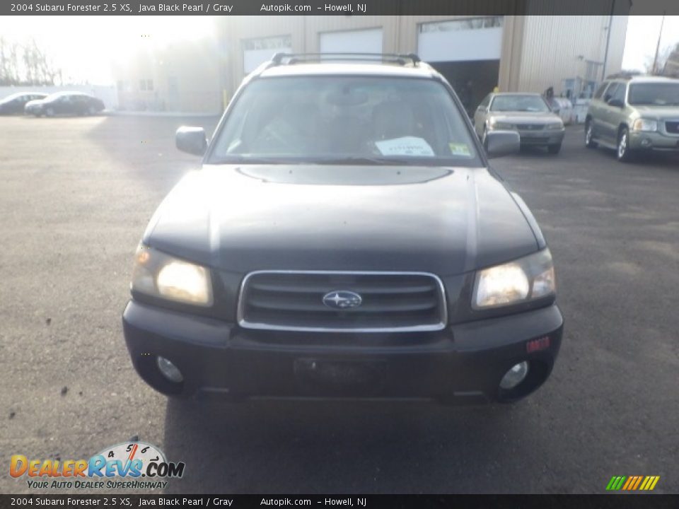 2004 Subaru Forester 2.5 XS Java Black Pearl / Gray Photo #2