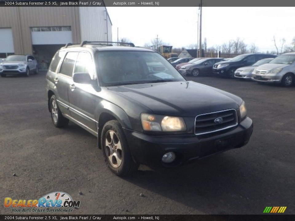 2004 Subaru Forester 2.5 XS Java Black Pearl / Gray Photo #3