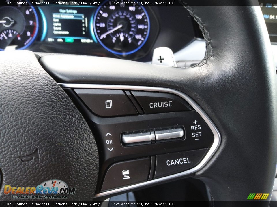 2020 Hyundai Palisade SEL Steering Wheel Photo #20