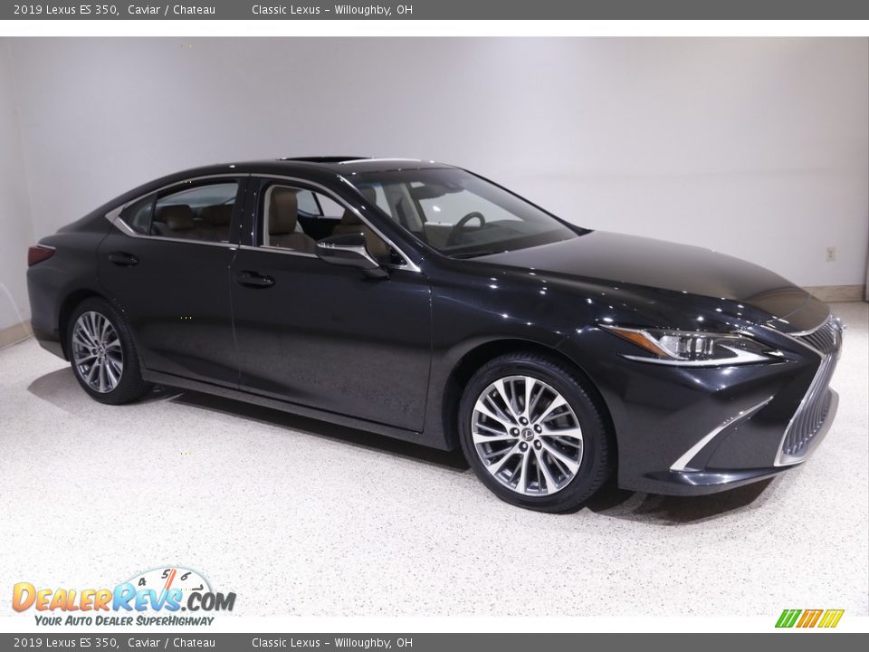 2019 Lexus ES 350 Caviar / Chateau Photo #1