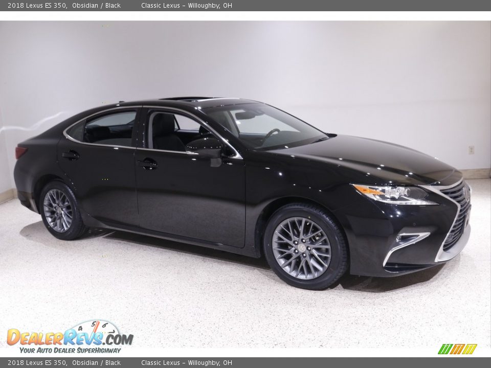 2018 Lexus ES 350 Obsidian / Black Photo #1