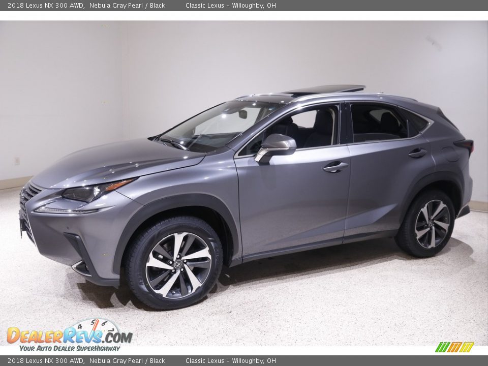 2018 Lexus NX 300 AWD Nebula Gray Pearl / Black Photo #3