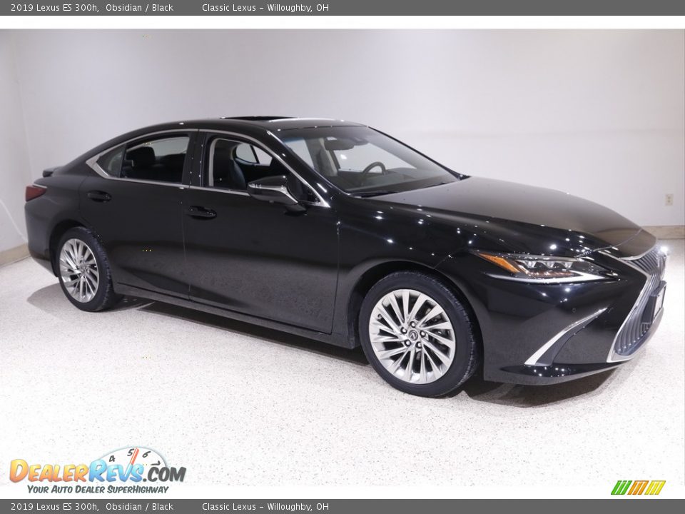 2019 Lexus ES 300h Obsidian / Black Photo #1