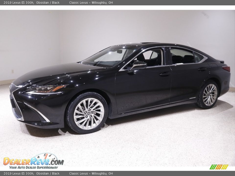 2019 Lexus ES 300h Obsidian / Black Photo #3