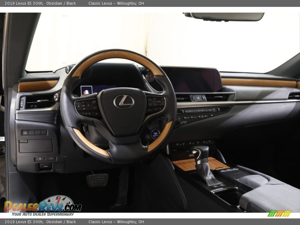 2019 Lexus ES 300h Obsidian / Black Photo #6