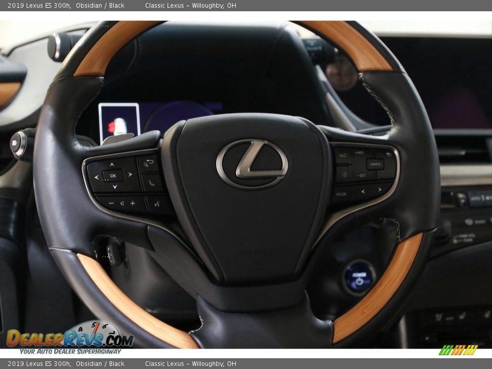 2019 Lexus ES 300h Obsidian / Black Photo #7