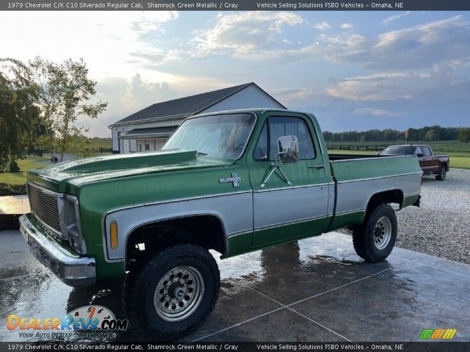 Front 3/4 View of 1979 Chevrolet C/K C10 Silverado Regular Cab Photo #1