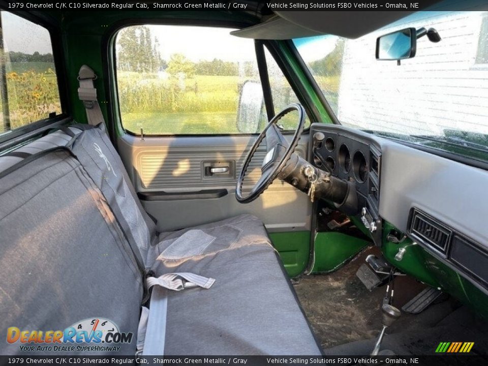 Gray Interior - 1979 Chevrolet C/K C10 Silverado Regular Cab Photo #3