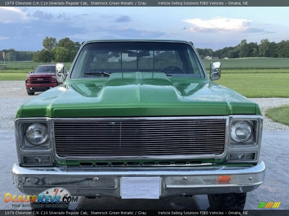 1979 Chevrolet C/K C10 Silverado Regular Cab Shamrock Green Metallic / Gray Photo #6