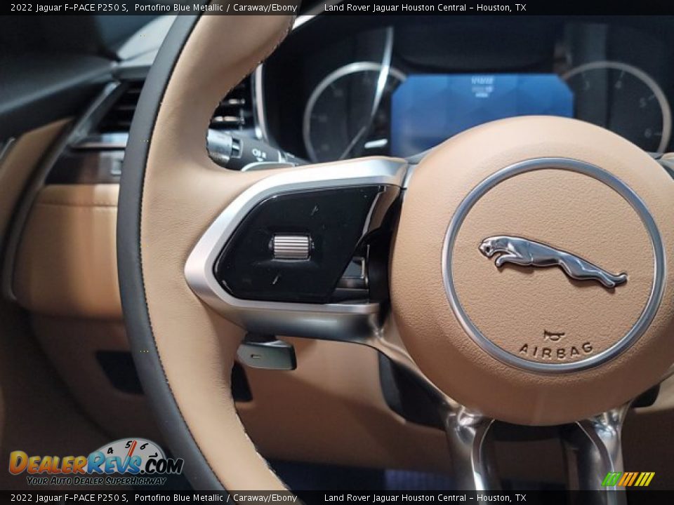 2022 Jaguar F-PACE P250 S Steering Wheel Photo #16