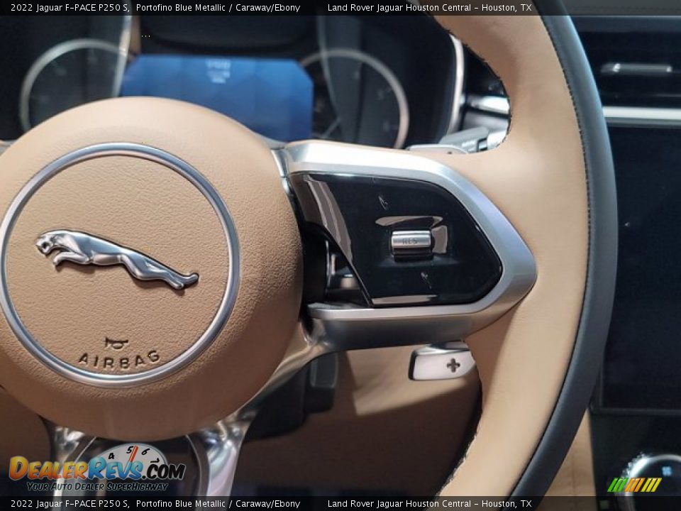 2022 Jaguar F-PACE P250 S Steering Wheel Photo #17
