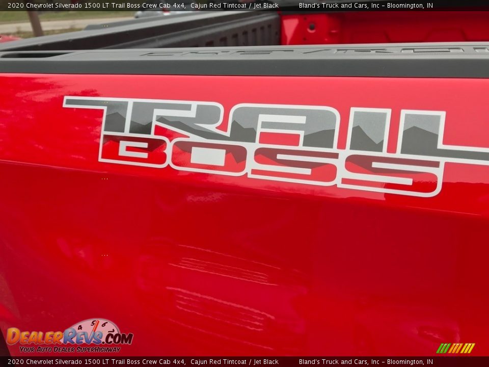 2020 Chevrolet Silverado 1500 LT Trail Boss Crew Cab 4x4 Logo Photo #7