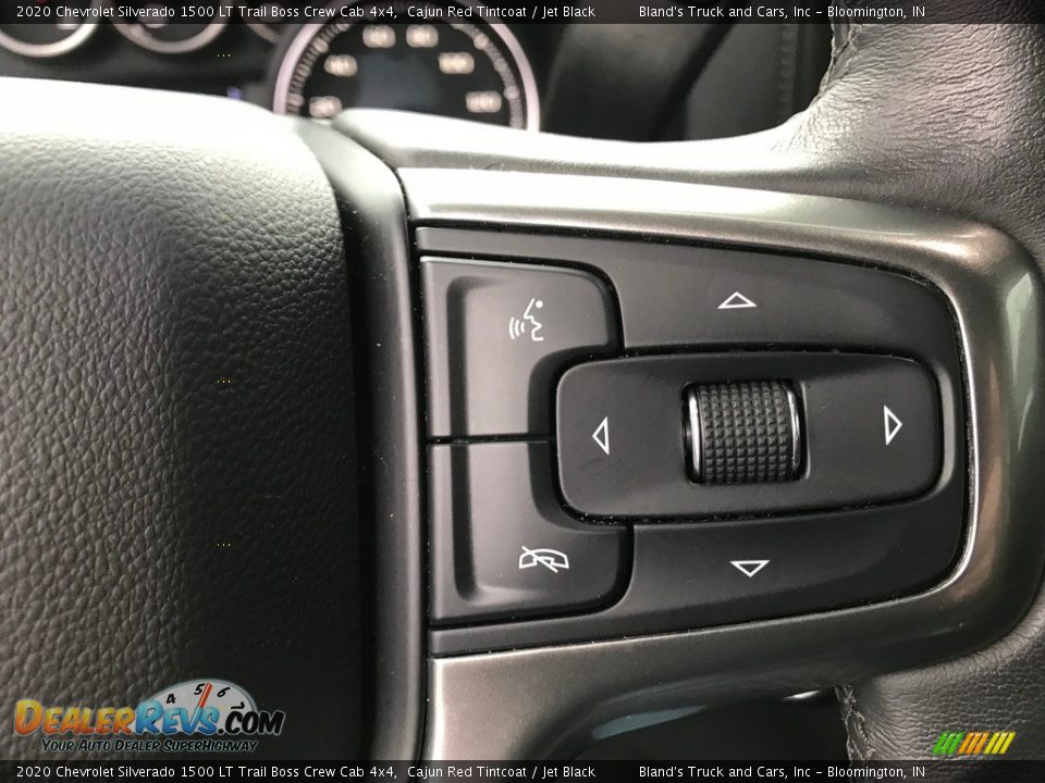2020 Chevrolet Silverado 1500 LT Trail Boss Crew Cab 4x4 Steering Wheel Photo #18