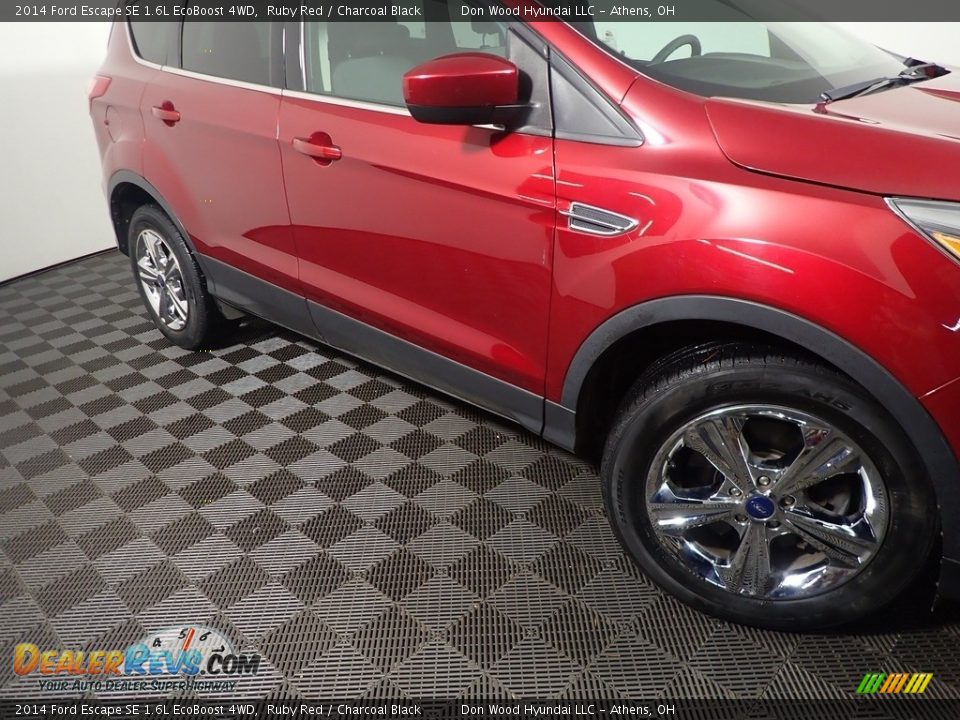 2014 Ford Escape SE 1.6L EcoBoost 4WD Ruby Red / Charcoal Black Photo #4