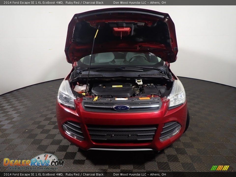2014 Ford Escape SE 1.6L EcoBoost 4WD Ruby Red / Charcoal Black Photo #6