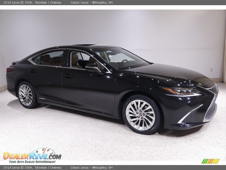 2019 Lexus ES 300h Obsidian / Chateau Photo #1