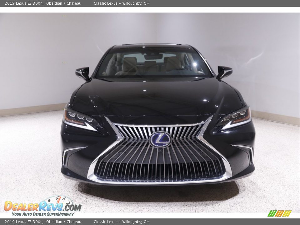 2019 Lexus ES 300h Obsidian / Chateau Photo #2