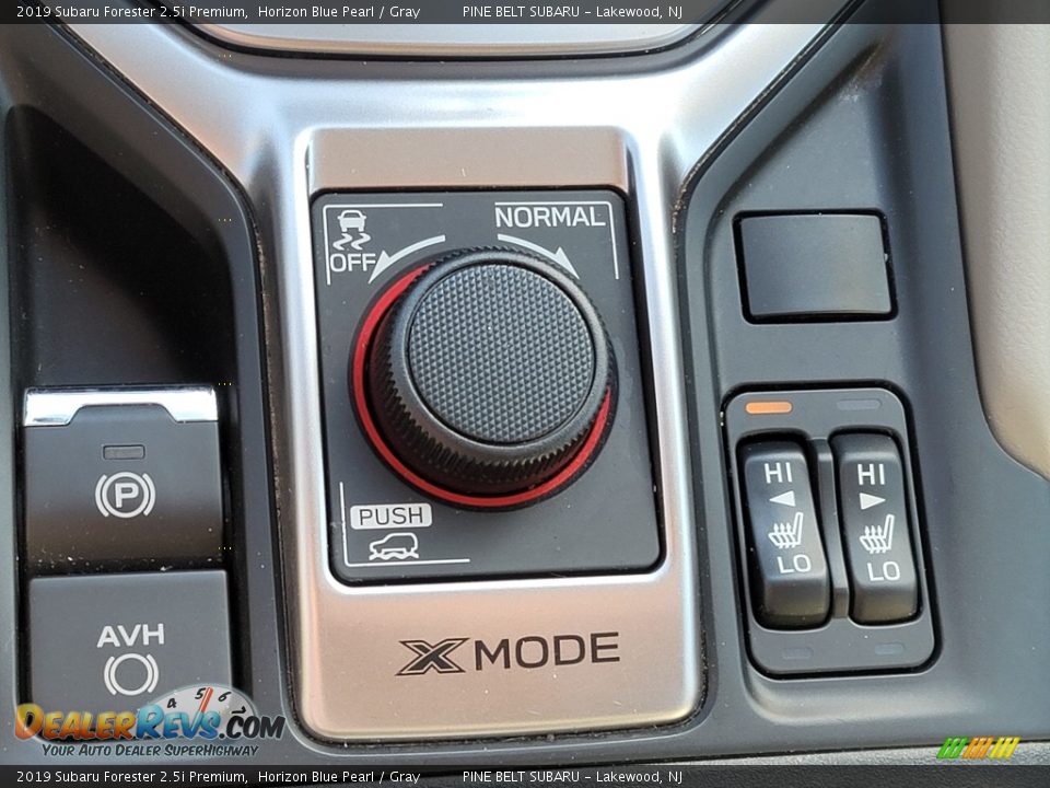 2019 Subaru Forester 2.5i Premium Horizon Blue Pearl / Gray Photo #9
