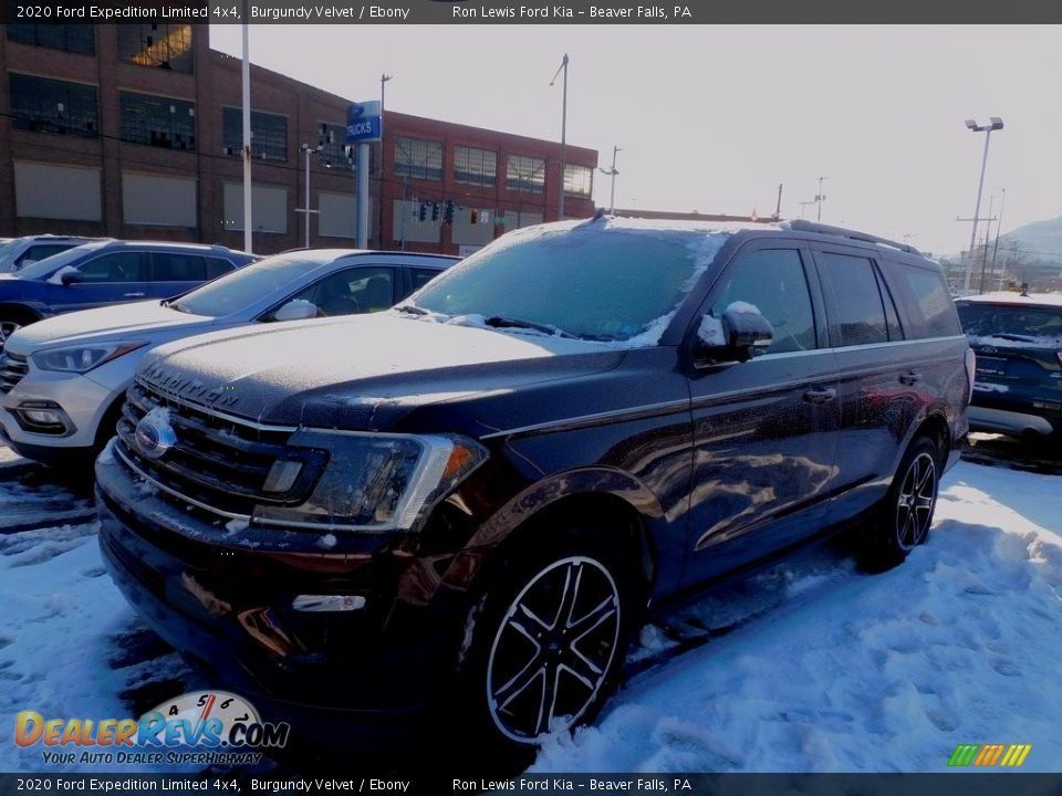 2020 Ford Expedition Limited 4x4 Burgundy Velvet / Ebony Photo #4