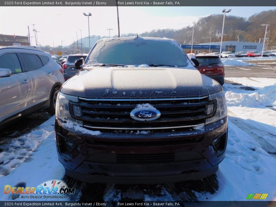 2020 Ford Expedition Limited 4x4 Burgundy Velvet / Ebony Photo #5
