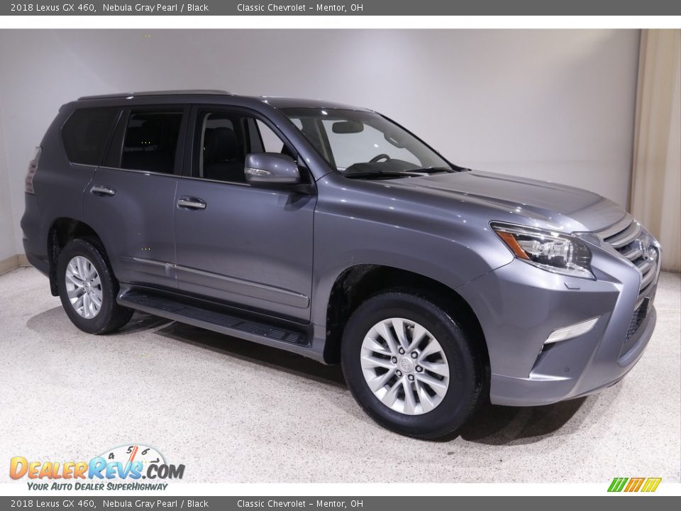 2018 Lexus GX 460 Nebula Gray Pearl / Black Photo #1