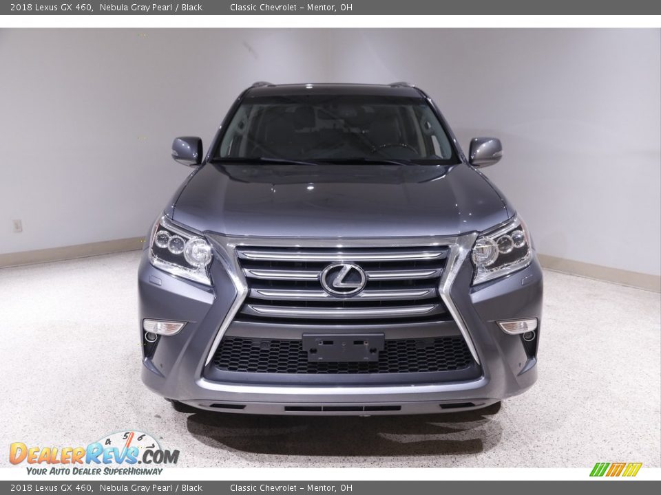 2018 Lexus GX 460 Nebula Gray Pearl / Black Photo #2