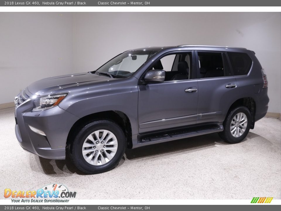 2018 Lexus GX 460 Nebula Gray Pearl / Black Photo #3