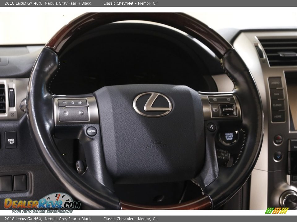 2018 Lexus GX 460 Nebula Gray Pearl / Black Photo #7