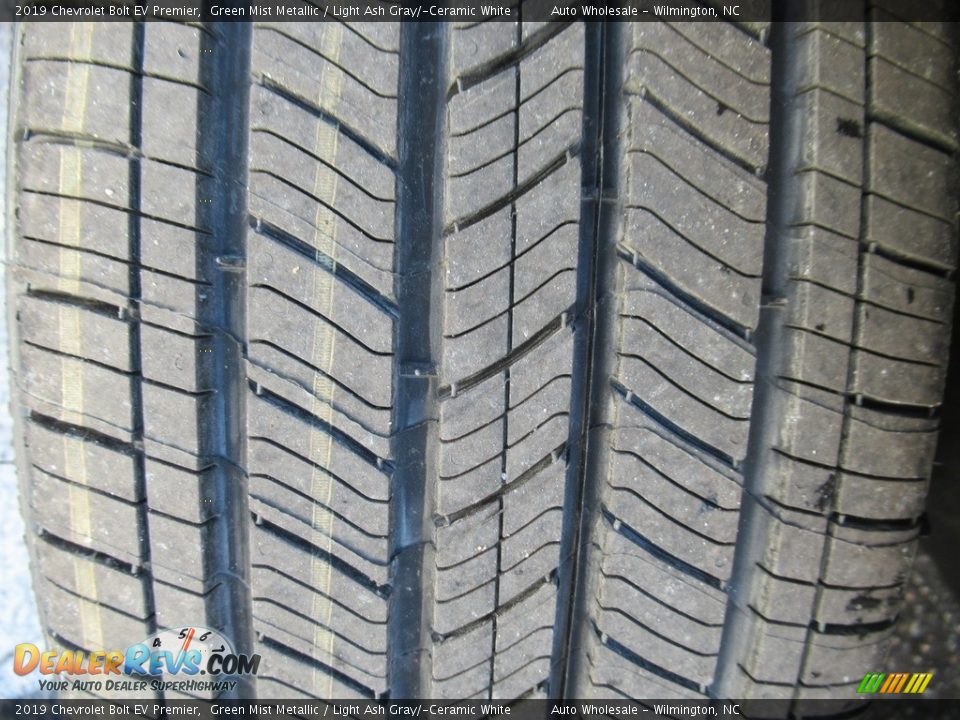 2019 Chevrolet Bolt EV Premier Green Mist Metallic / Light Ash Gray/­Ceramic White Photo #10