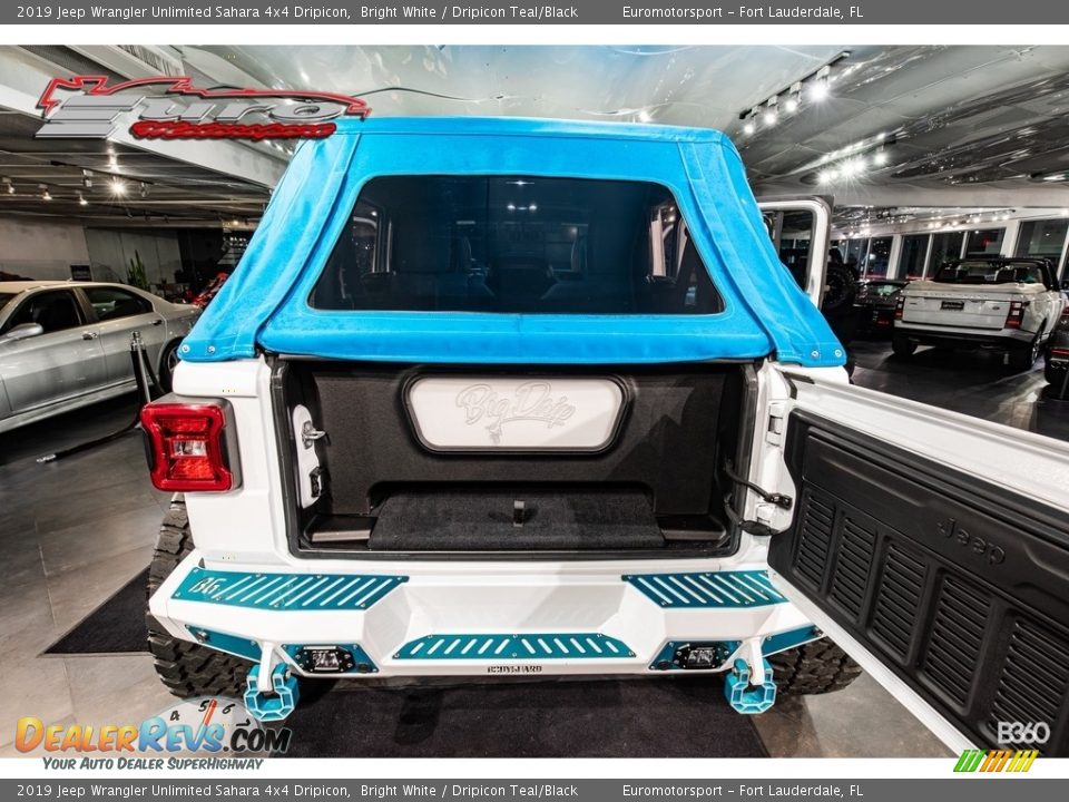 2019 Jeep Wrangler Unlimited Sahara 4x4 Dripicon Bright White / Dripicon Teal/Black Photo #15