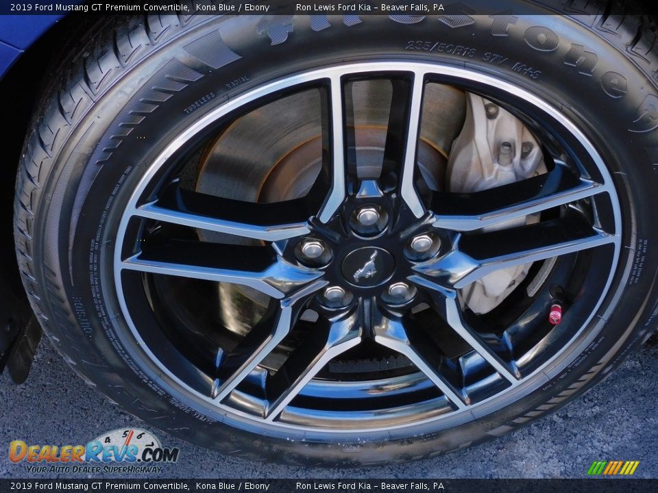 2019 Ford Mustang GT Premium Convertible Kona Blue / Ebony Photo #10