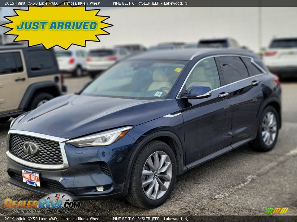 2019 Infiniti QX50 Luxe AWD Hermosa Blue / Wheat Photo #1