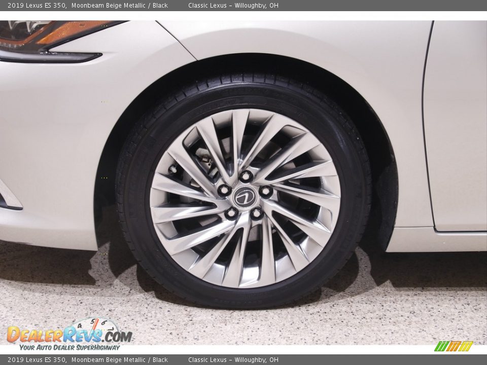 2019 Lexus ES 350 Moonbeam Beige Metallic / Black Photo #22