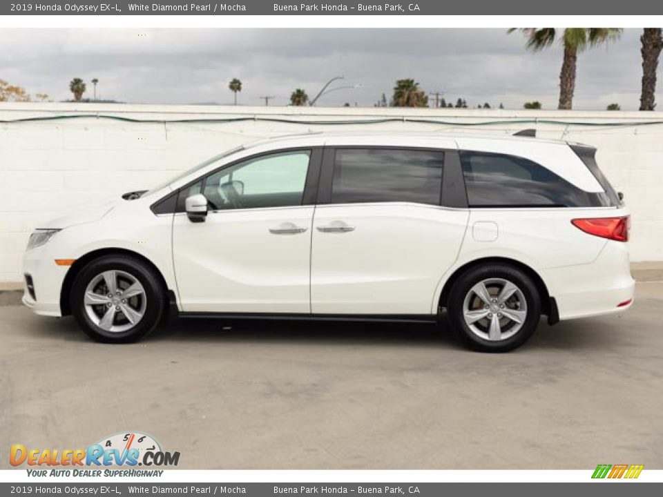 2019 Honda Odyssey EX-L White Diamond Pearl / Mocha Photo #8