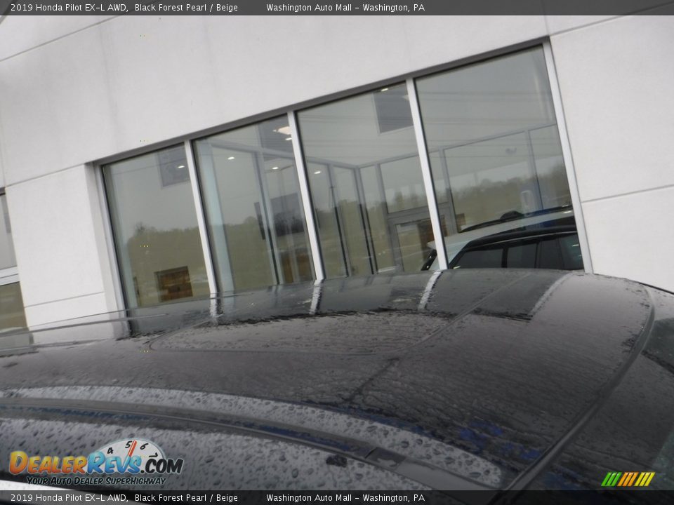 2019 Honda Pilot EX-L AWD Black Forest Pearl / Beige Photo #4