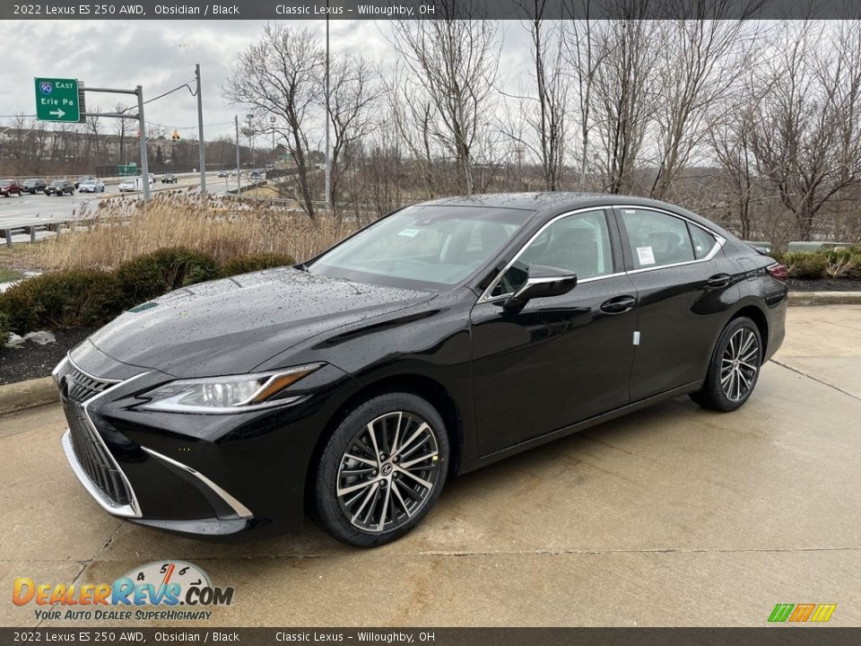 Front 3/4 View of 2022 Lexus ES 250 AWD Photo #1